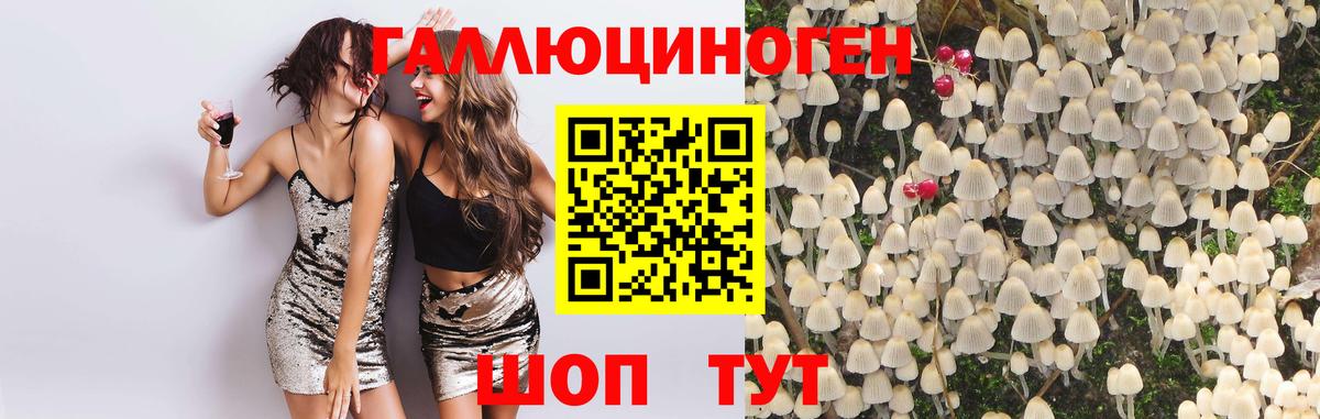 Нерюнгри  Галлюциногенные грибы GOLDEN TEACHER  Вход с VPN  Галлюциногенные грибы GOLDEN TEACHER 